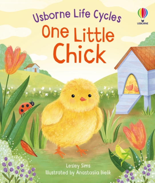 One Little Chick, Board book Book