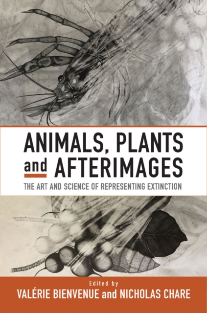 Animals, Plants and Afterimages : The Art and Science of Representing Extinction, Paperback / softback Book