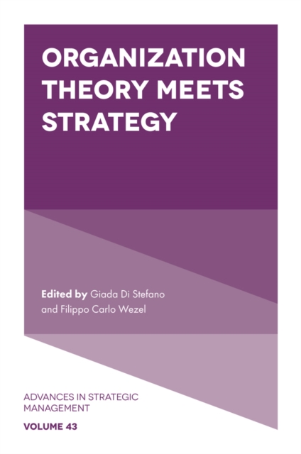Organization Theory Meets Strategy, Hardback Book