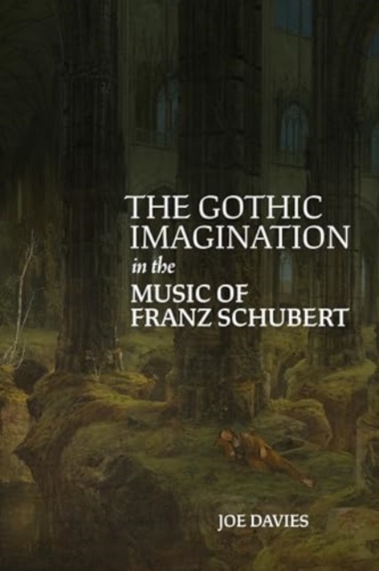 The Gothic Imagination in the Music of Franz Schubert, Hardback Book
