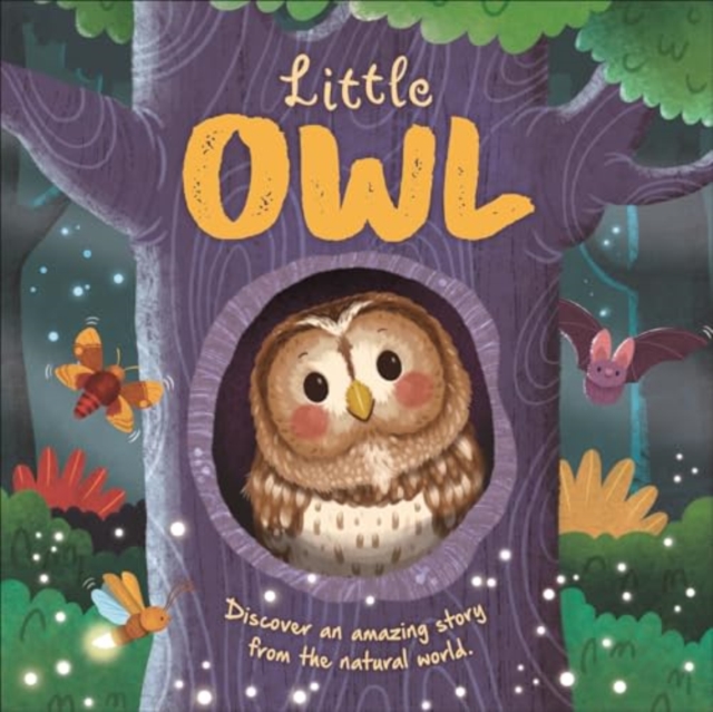 Little Owl, Board book Book
