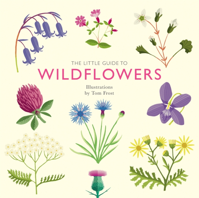 The Little Guide to Wildflowers, EPUB eBook