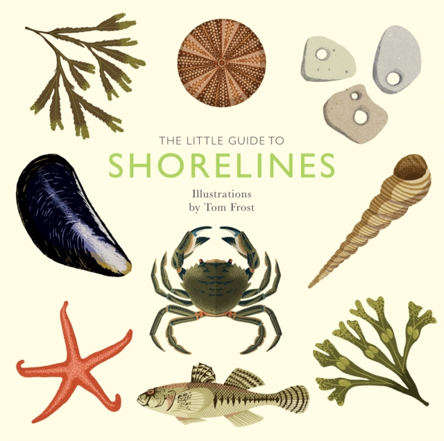 The Little Guide to Shorelines, EPUB eBook