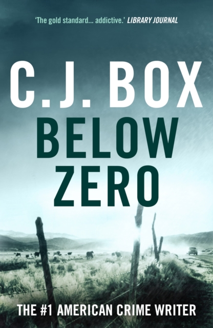 Below Zero, Paperback / softback Book