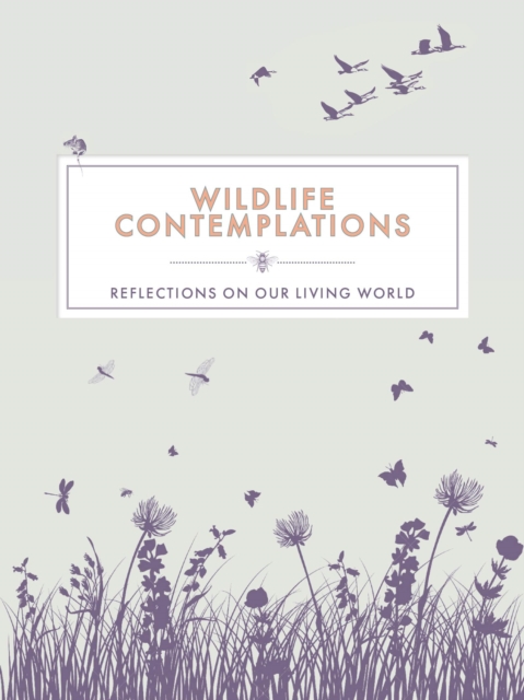 Wildlife Contemplations : Reflections on Our Living World, Hardback Book