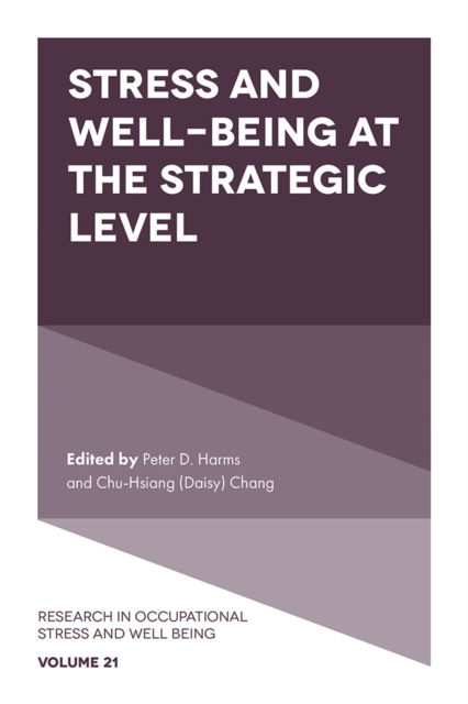 Stress and Well-Being at the Strategic Level, PDF eBook