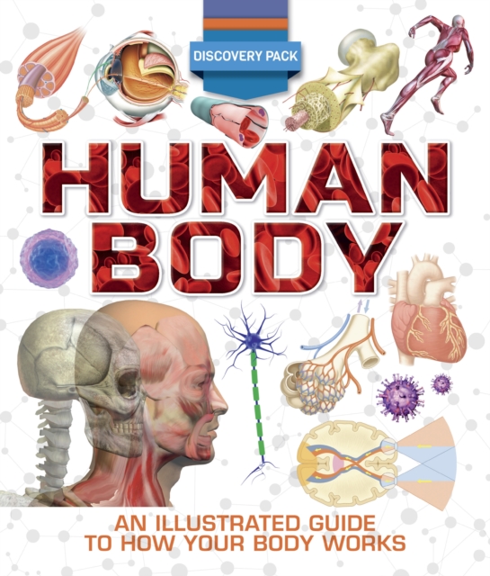 Discovery Pack: Human Body, EPUB eBook