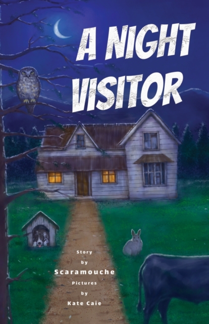 A Night Visitor, Paperback / softback Book