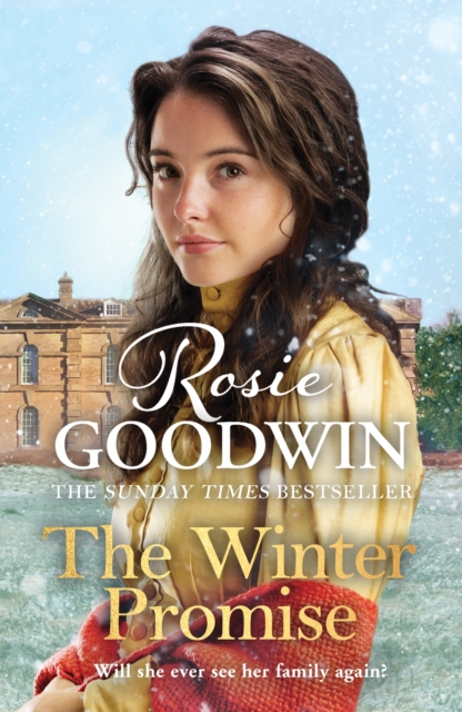 The Winter Promise : A perfect cosy Victorian saga from the Sunday Times bestselling author, Paperback / softback Book