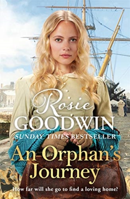 An Orphan's Journey : The new heartwarming saga from the Sunday Times bestselling author, Paperback / softback Book