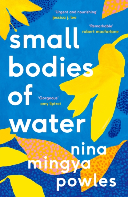 Small Bodies of Water, EPUB eBook