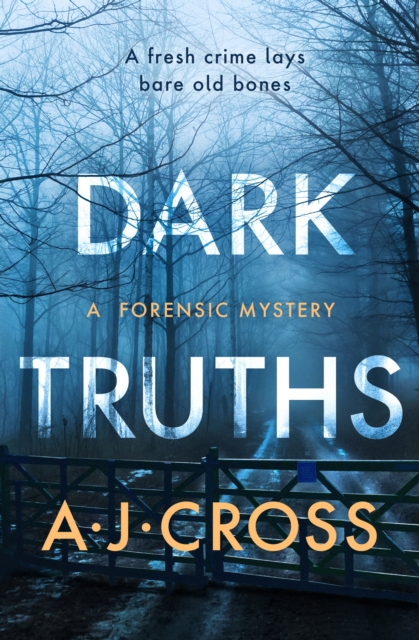 Dark Truths, Paperback / softback Book