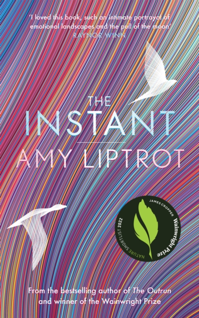 The Instant : Sunday Times Bestseller, Hardback Book