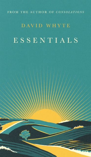 Essentials, Hardback Book