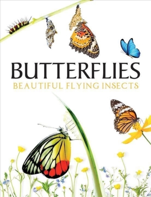 Butterflies : Beautiful Flying Insects, Hardback Book