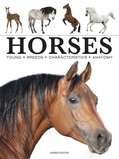 Horses, Paperback / softback Book