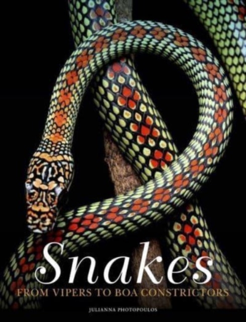 Snakes : From Vipers to Boa Constrictors, Hardback Book