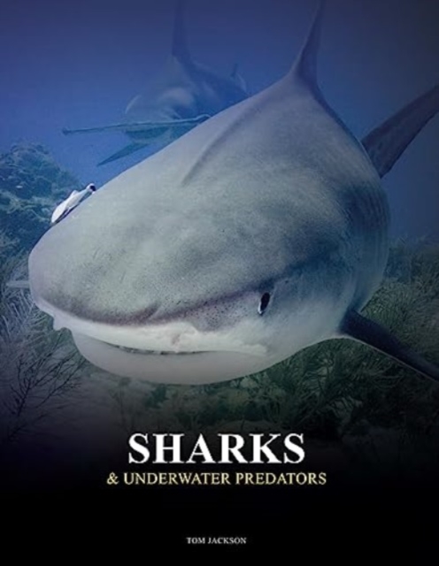 Sharks and Underwater Predators, Hardback Book