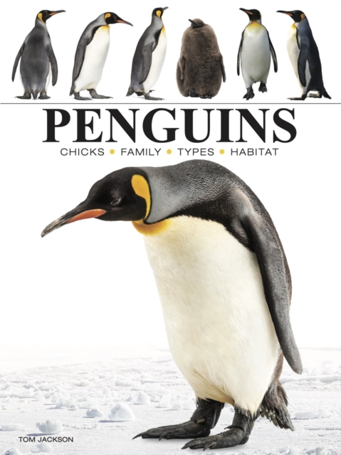 Penguins, Paperback / softback Book