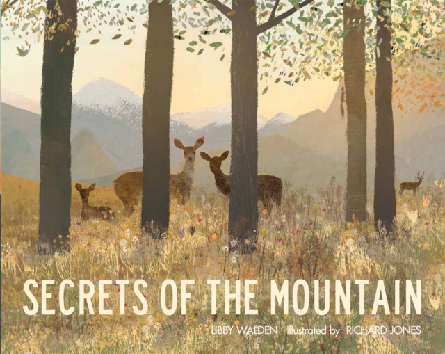 Secrets of the Mountain, Paperback / softback Book