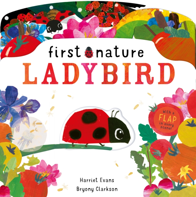 Ladybird, Novelty book Book