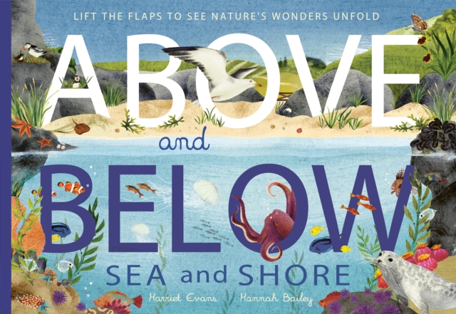 Above and Below: Sea and Shore : Lift the flaps to see nature's wonders unfold, Paperback / softback Book
