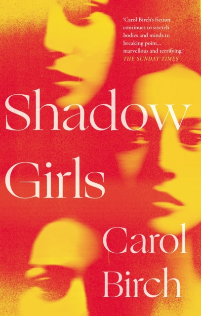 Shadow Girls, Hardback Book