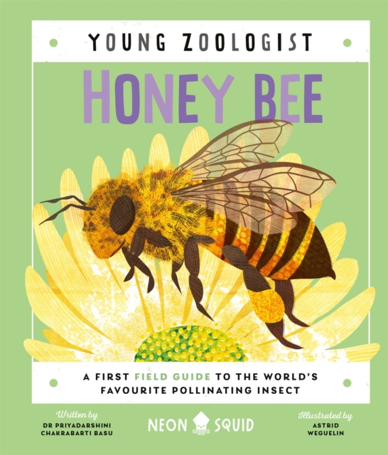 Honey Bee (Young Zoologist) : A First Field Guide to the World’s Favourite Pollinating Insect, Hardback Book