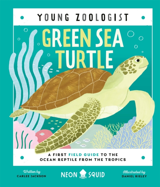 Green Sea Turtle (Young Zoologist) : A First Field Guide to the Ocean Reptile from the Tropics, Hardback Book