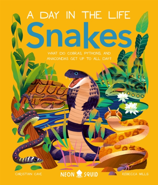 Snakes (A Day in the Life) : What Do Cobras, Pythons, and Anacondas Get Up to All Day?, Hardback Book
