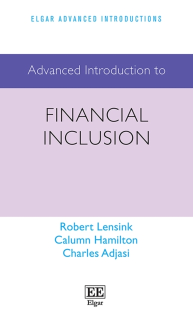Advanced Introduction to Financial Inclusion, PDF eBook
