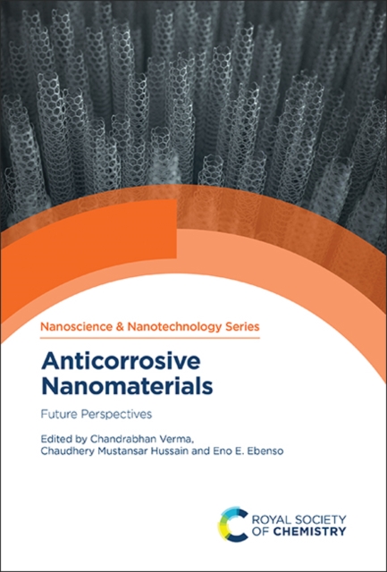 Anticorrosive Nanomaterials : Future Perspectives, PDF eBook