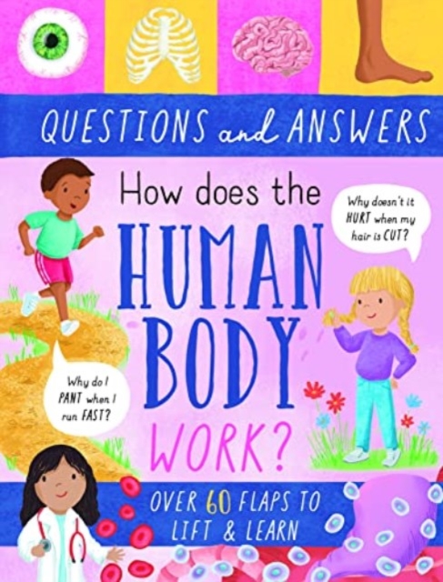 How Does the Human Body Work?, Hardback Book