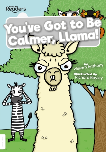 You've Got to Be Calmer, Llama!, Paperback / softback Book