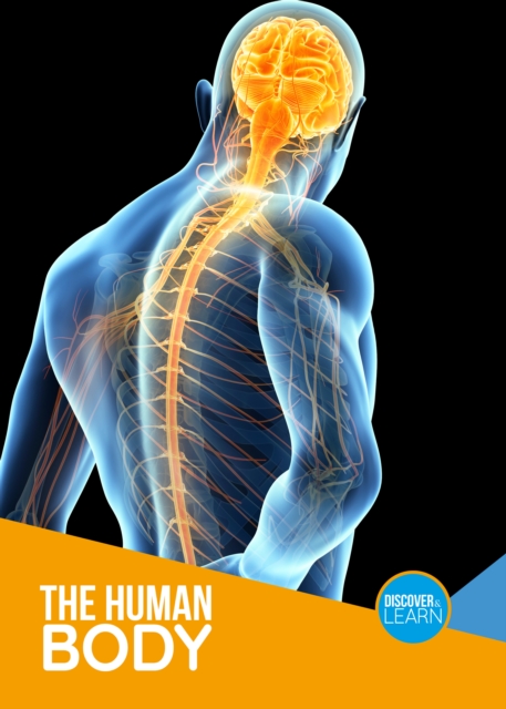 The Human Body, Hardback Book
