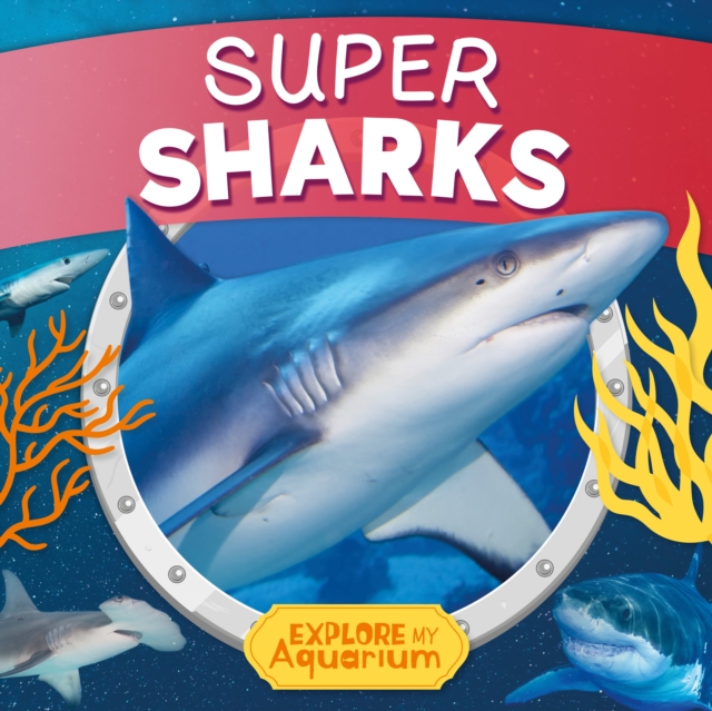 Super Sharks, Paperback / softback Book