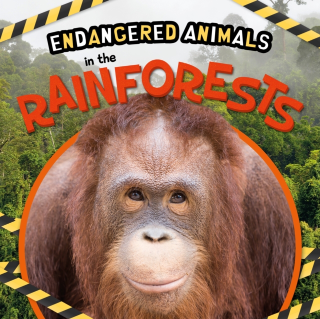 In the Rainforests, Hardback Book