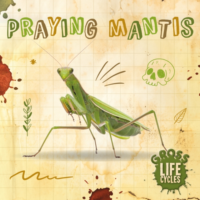 Praying Mantis, Hardback Book