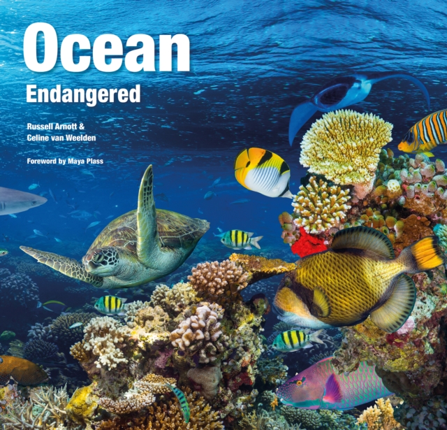 Ocean Endangered, Hardback Book