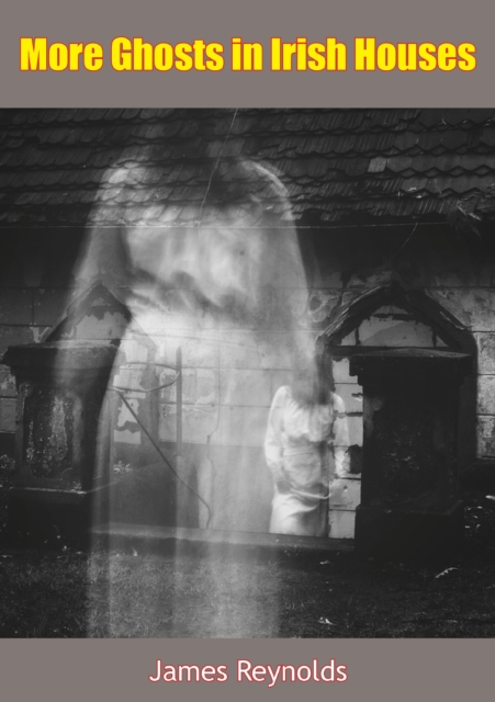 More Ghosts in Irish Houses, EPUB eBook