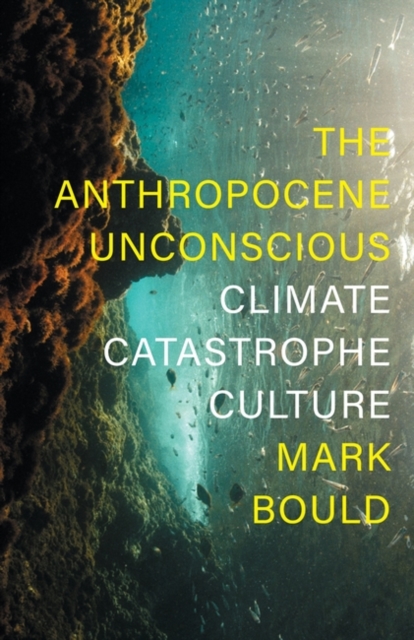 The Anthropocene Unconscious : Climate Catastrophe Culture, Hardback Book