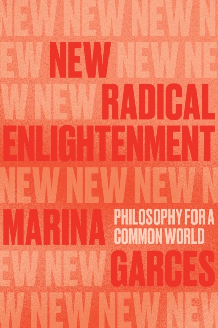 New Radical Enlightenment : Philosophy for a Common World, Paperback / softback Book
