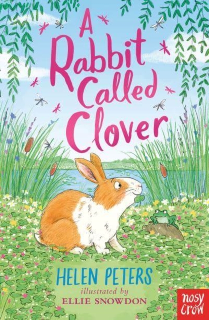 A Rabbit Called Clover, Paperback / softback Book