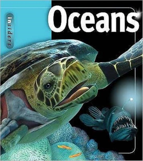 Ocean, Hardback Book