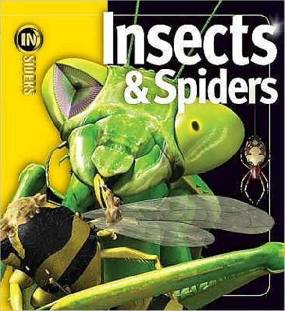 Insects and Spiders, Hardback Book