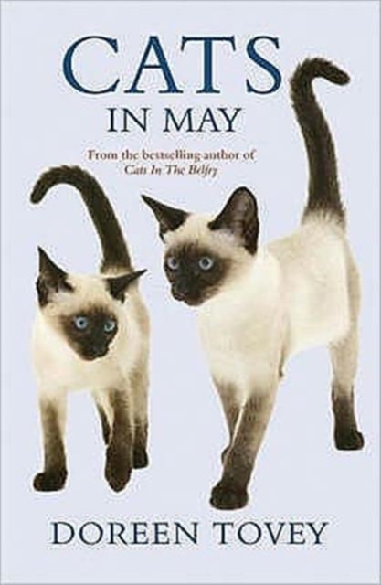 Cats in May, Paperback Book