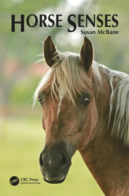 Horse Senses, Hardback Book