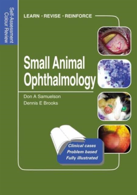 Small Animal Ophthalmology : Self-Assessment Color Review, Paperback / softback Book