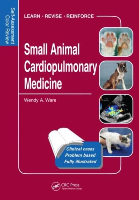 Small Animal Cardiopulmonary Medicine : Self-Assessment Color Review, Paperback / softback Book