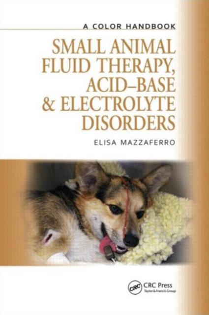 Small Animal Fluid Therapy, Acid-base and Electrolyte Disorders : A Color Handbook, Hardback Book